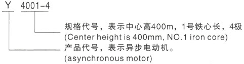 西安泰富西玛Y系列(H355-1000)高压YR4503-6三相异步电机型号说明