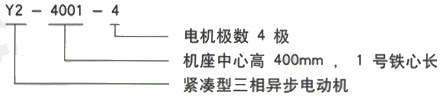 YR系列(H355-1000)高压YR4503-6三相异步电机西安西玛电机型号说明